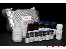 HTZ系列,真空干燥箱廠家-產(chǎn)品展示-上海陽(yáng)光生物科技