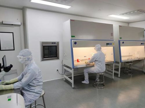 肝衰竭患者的福音 中國(guó)首個(gè)生物人工肝核心組件獲批臨床試驗(yàn)