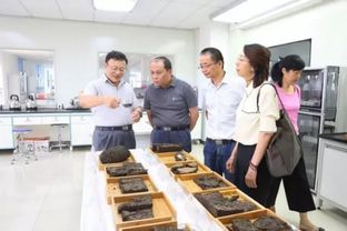 長(zhǎng)沙海關(guān)及廣東省海關(guān)李主任一行參觀考察湖南惟楚福瑞達(dá)生物科技