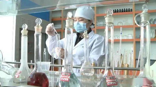 黑河 職能部門精準(zhǔn)施策 助力企業(yè)紓困解憂