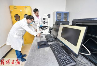 洛陽(yáng)去年技術(shù)創(chuàng)新體系更加完善 科技產(chǎn)業(yè)融合更加緊密