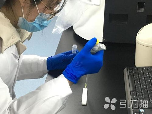 張家港迪亞萊博生物科技自主研發(fā)新冠病毒免疫測試卡 10分鐘內鎖定疑似病例