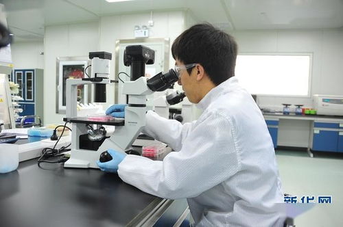 甘肅蘭州 戰(zhàn)略性新興產業(yè)占比不斷提高